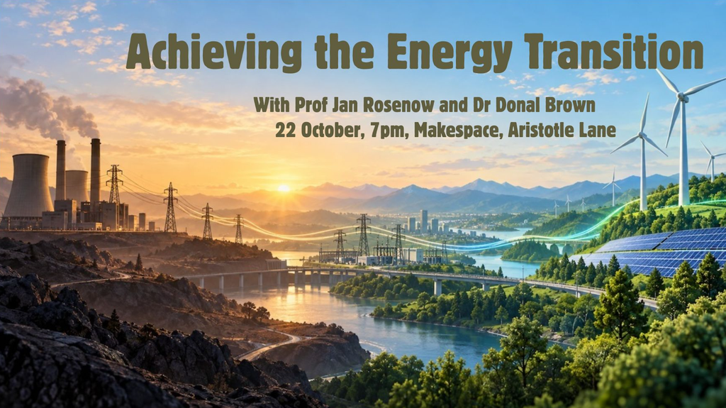 Achieving the Energy Transition with Jan Rosenow and Donal Brown – 22 October